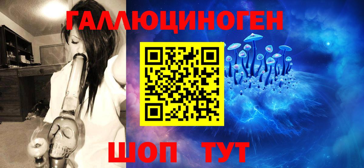 Псилоцибиновые грибы MAGIC MUSHROOMS  Вход с VPN  Елец 